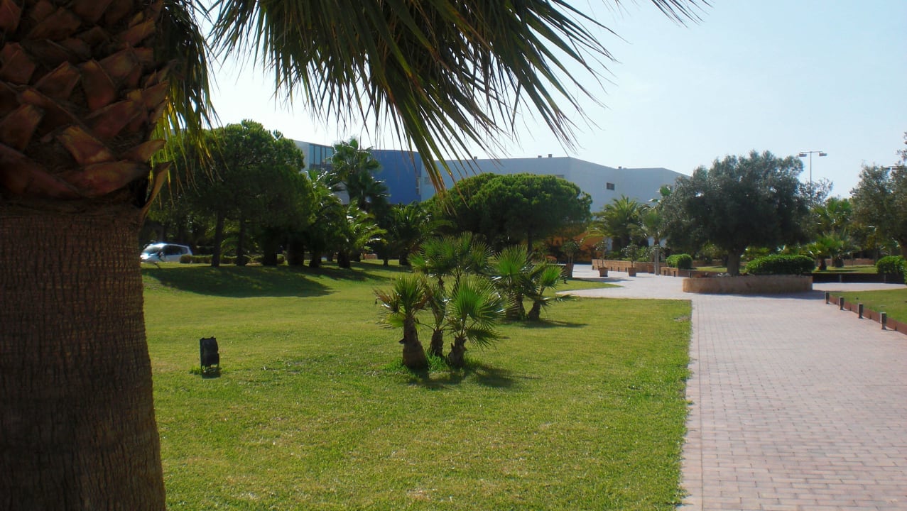 Oase der Ruhe Grand Palladium Select Palace Ibiza