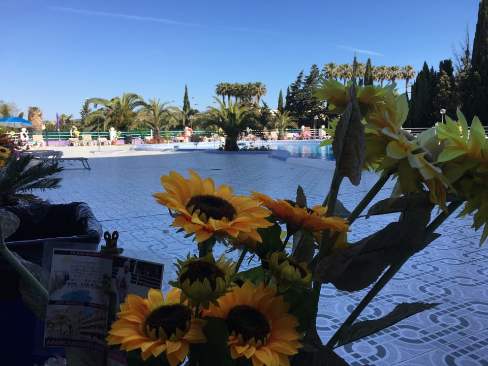 Pool Bei Juan Playa Blanca