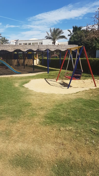 Sonstiges Desert Rose