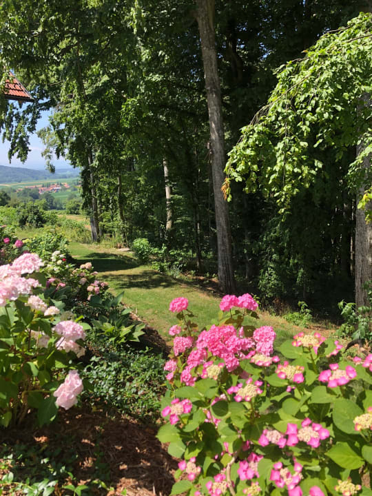 Ausblick Landvilla Sinelia premium