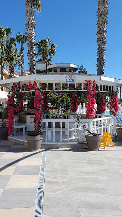 Gartenanlage Hane Family Resort