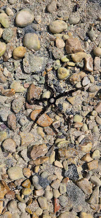 Strand Tropitel Sahl Hasheesh