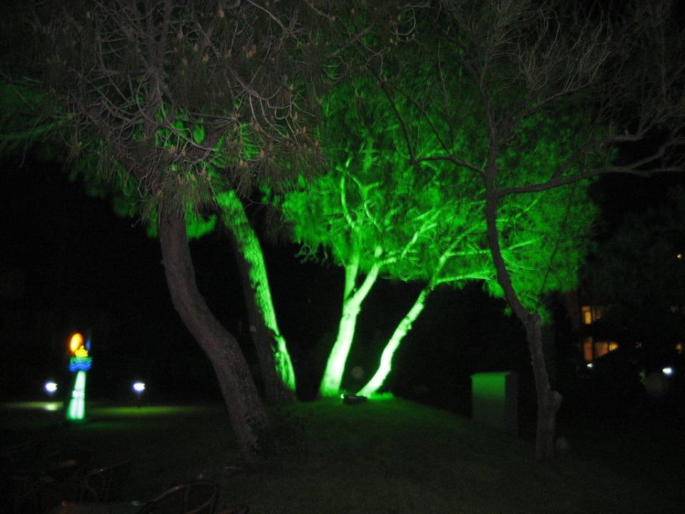 Gartenanlage bei Nacht Megasaray Club Belek