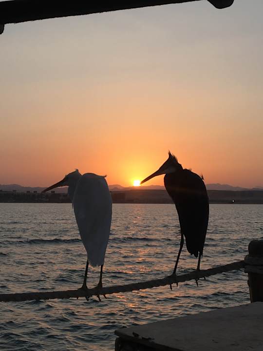 Ausblick Casa Mare Resort