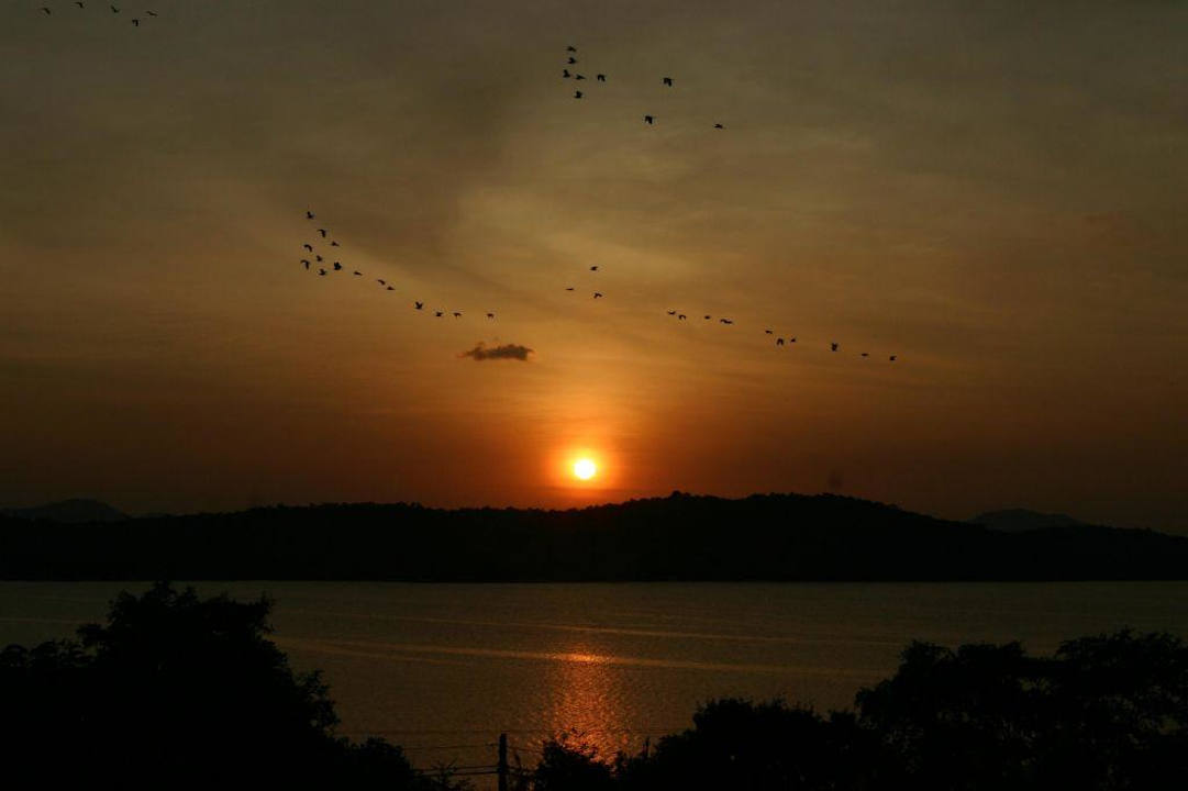 Blick von der Hotelterrasse Hotel Royal Lotus