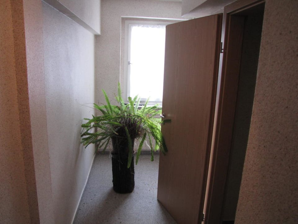 Flurbereich Gasthaus zum Goldenen Ring