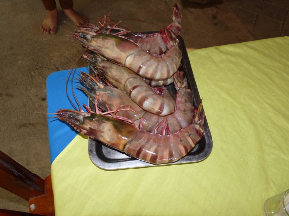 Tiger Prawn Khaolak Oriental Resort - Adults only