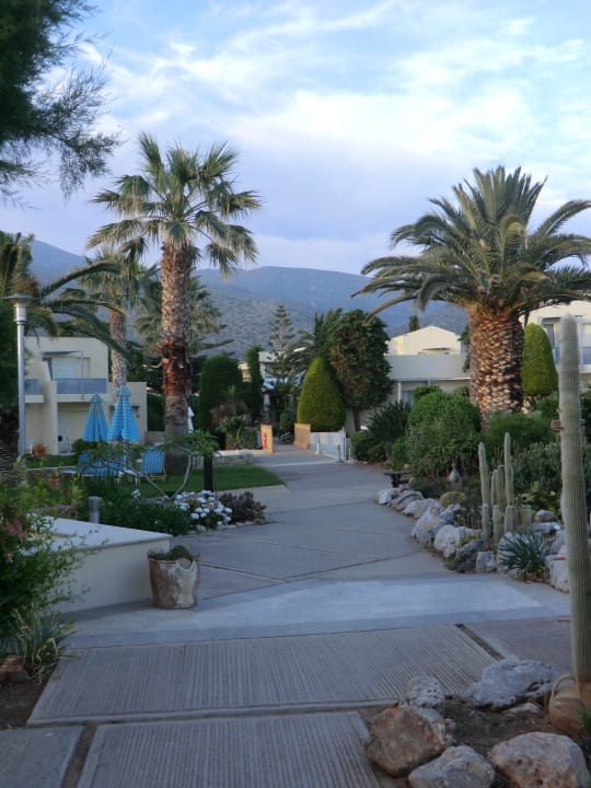 Weg im Garten Phãea Cretan Malia