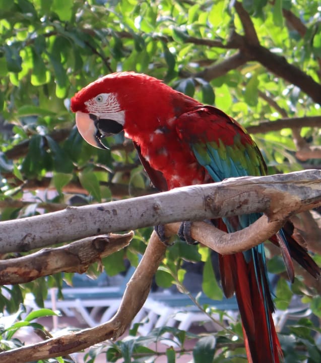 Sonstiges Hacienda San Jorge