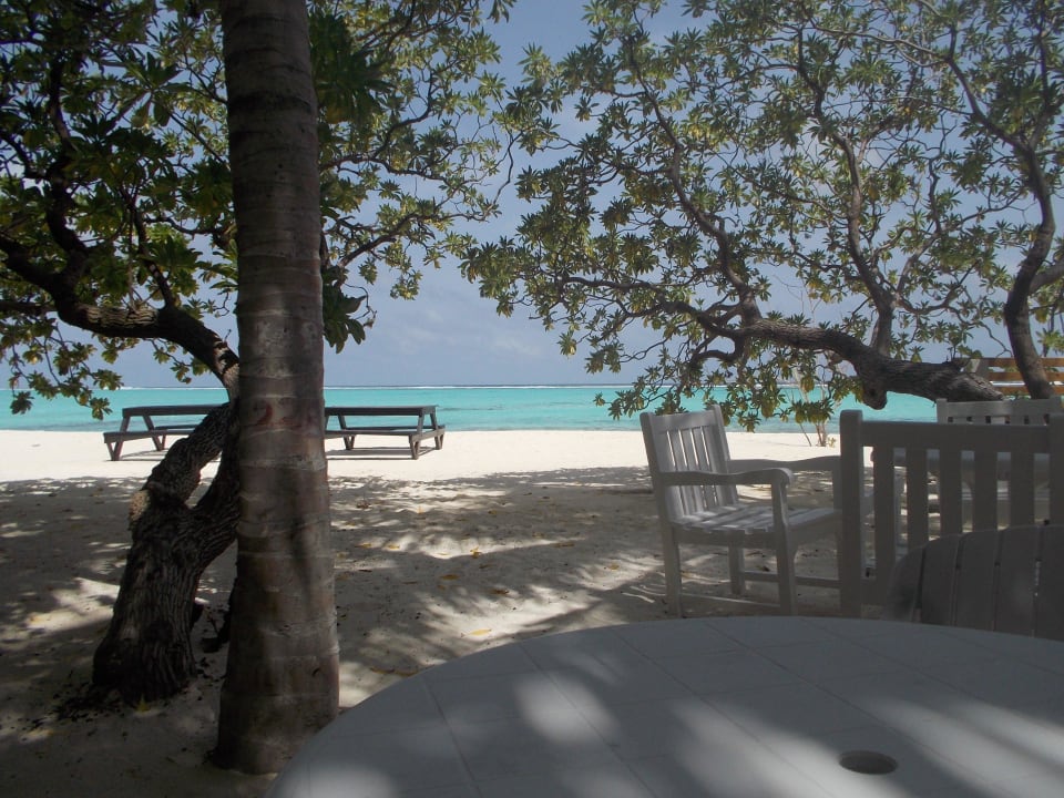 Blick von der Bar aufs Meer Summer Island Maldives