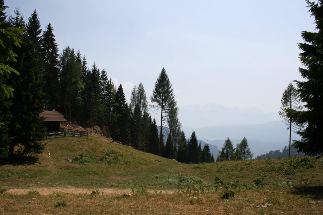 Almhütte Gästehaus Berger