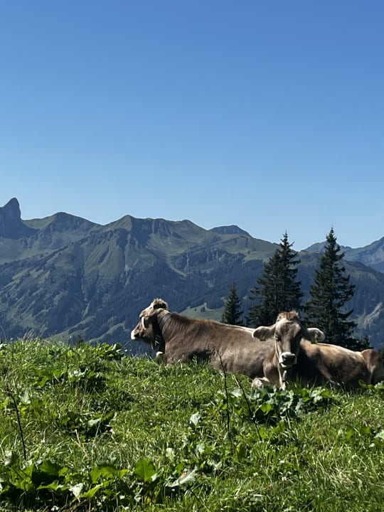 Sonstiges Alpen Hotel Post