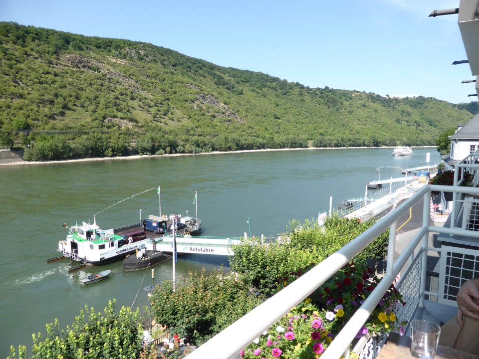 Ausblick Rheinhotel Lilie