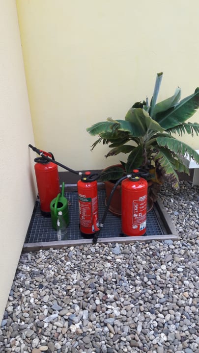 Sonstiges Vitalhotel König am Park