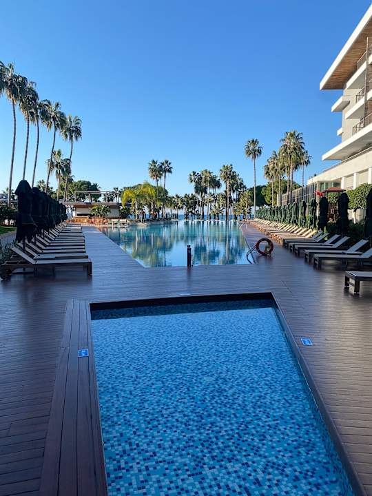 Pool Acanthus Cennet Barut Collection