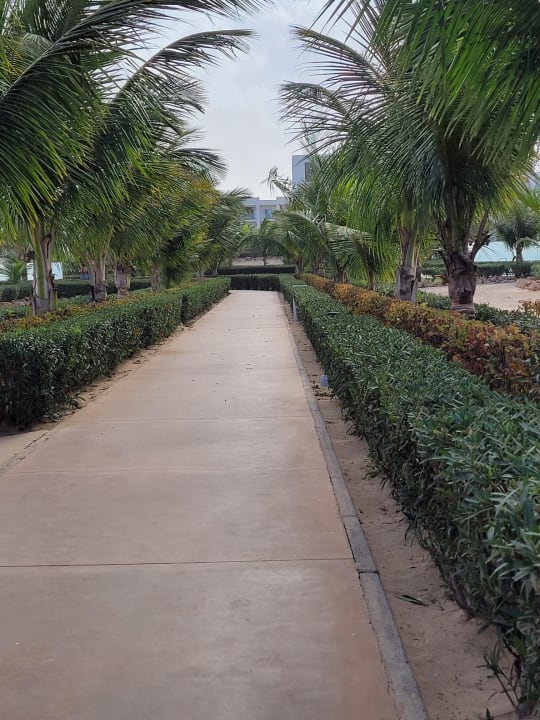 Gartenanlage Hotel Riu Palace Boavista