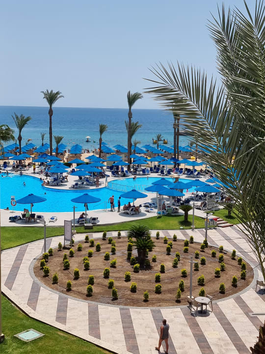 Pool Beach Albatros Resort