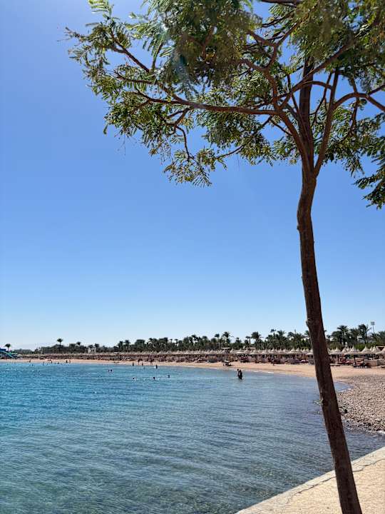 Außenansicht The Grand Palace - Adults only