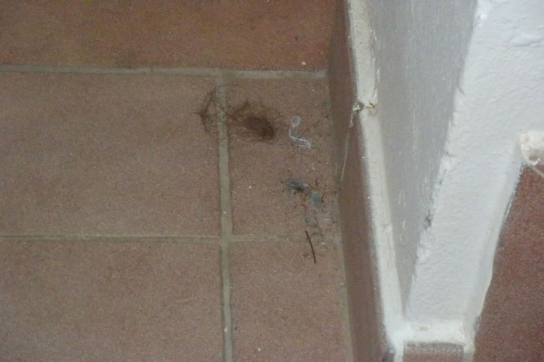 Ekelhaft keine Reinigung im Treppenbereich Hotel THB Tropical Island