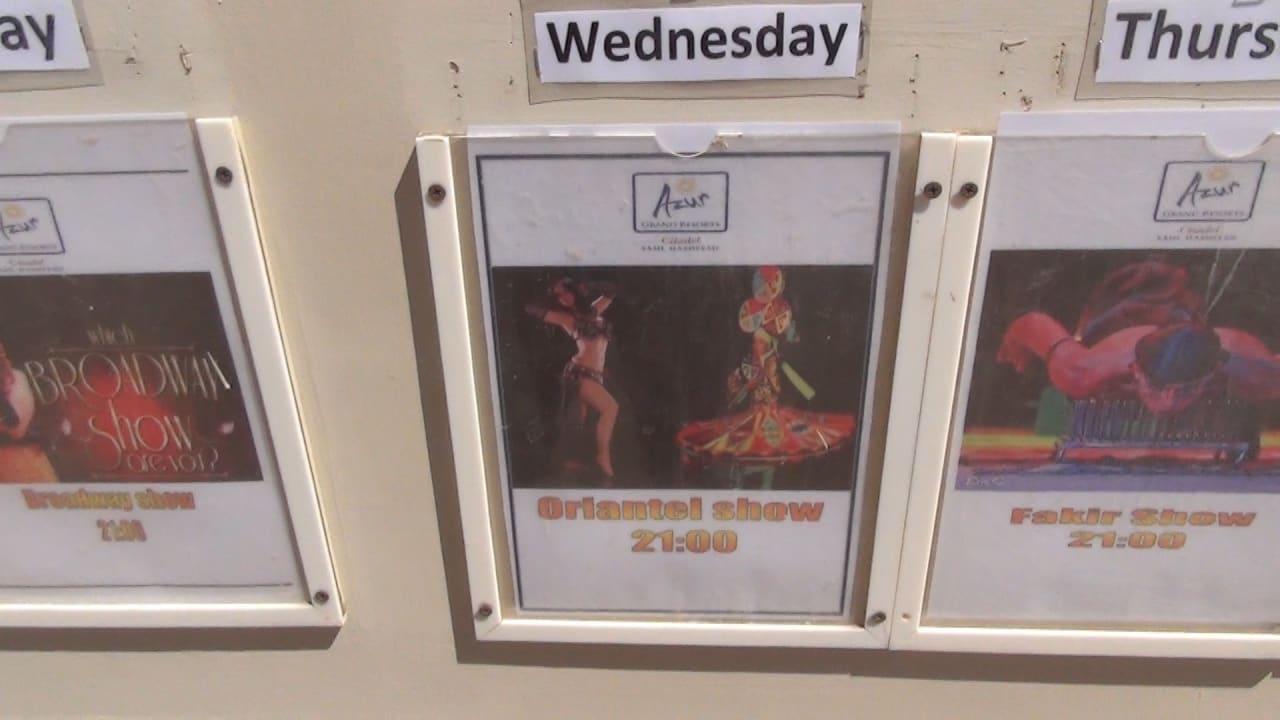 Oriantel Show Pickalbatros Citadel Resort