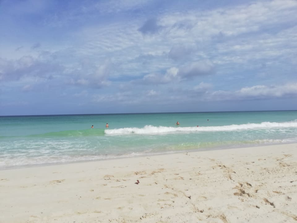 Strand Starfish Cuatro Palmas