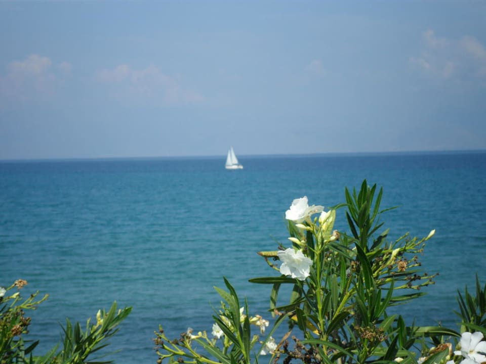 Widok z basenu Hotel Mareblue Beach