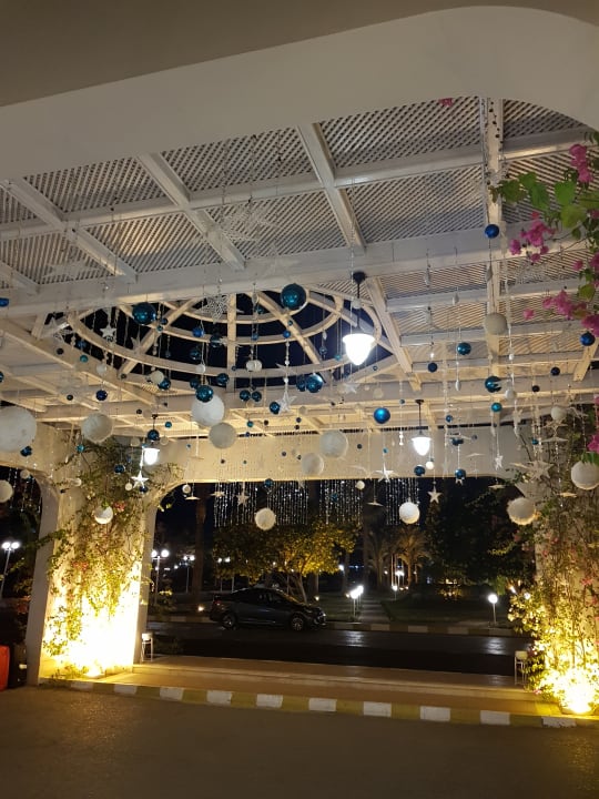 Sonstiges Desert Rose