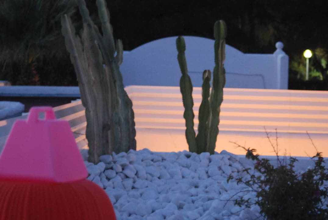 Abenprogramm Cala Llenya Resort Ibiza