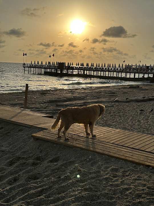Strand Club Dizalya