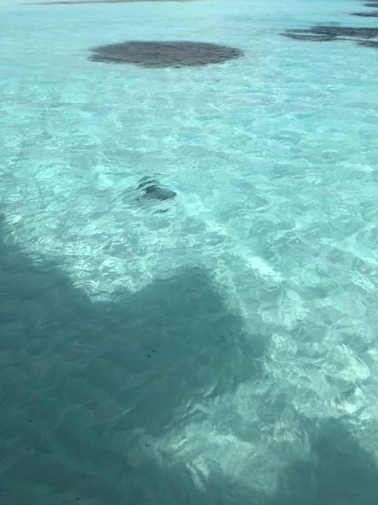 Strand Hotel Six Senses Laamu