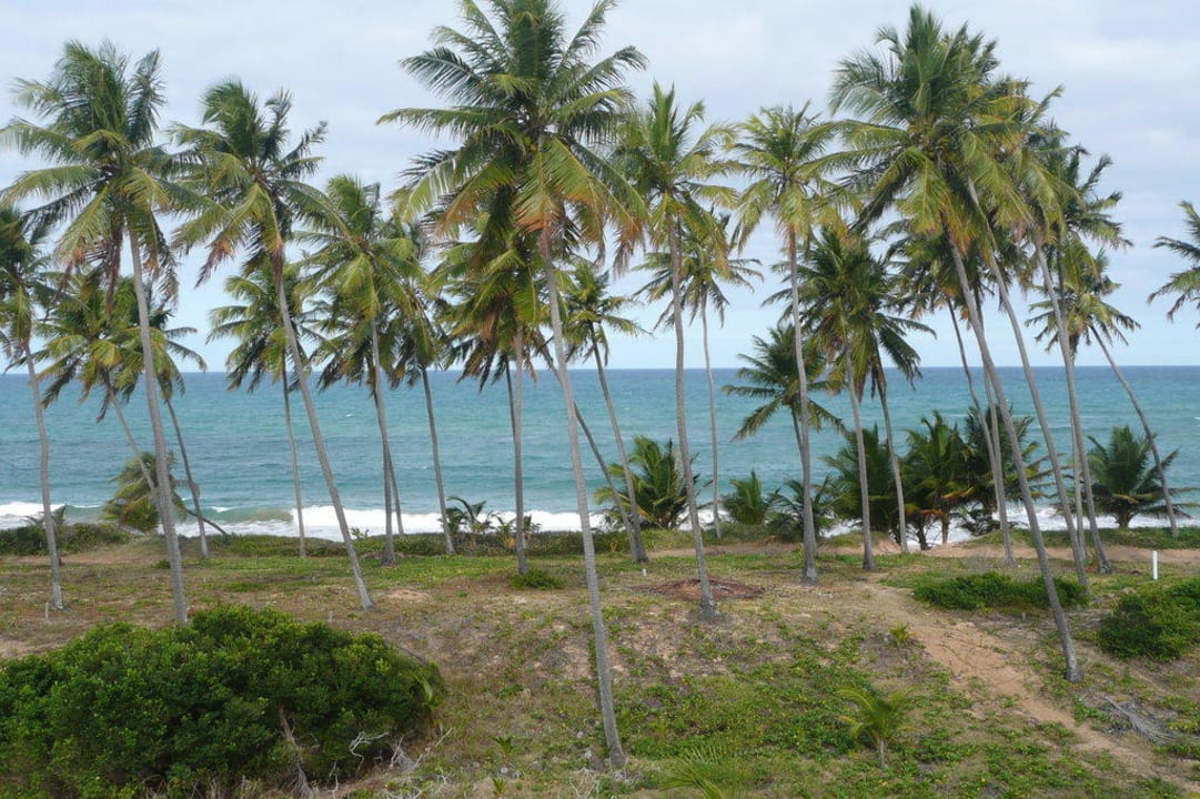 Blick von unserem Balkon Iberostar Selection Praia do Forte
