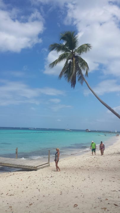 Plaża  Hotel Viva Dominicus Palace by Wyndham-All Inclusive Resort