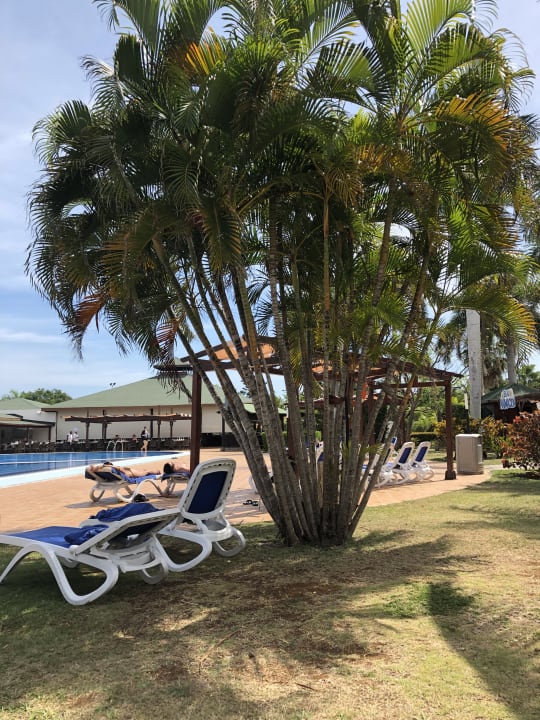 Gartenanlage Blau varadero - Adults only