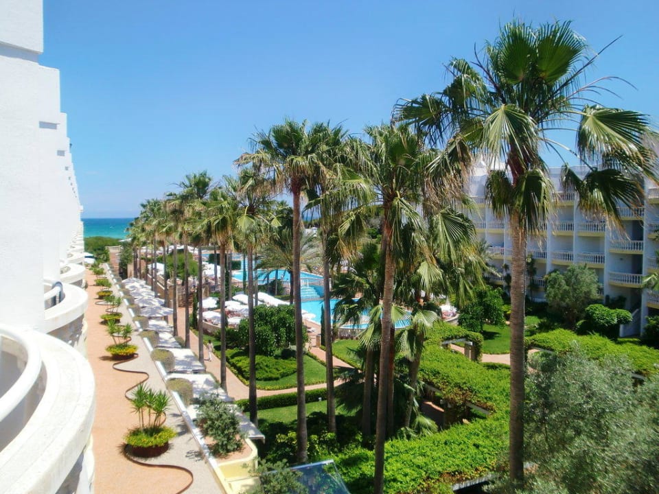 Aussicht vom Balkon Zimmer 5312 Iberostar Selection Albufera Park