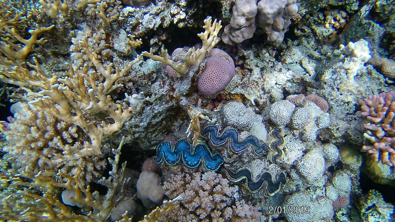 Sport & Freizeit Utopia Beach Club