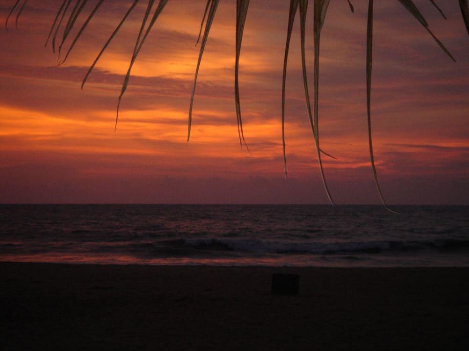 Meerblick Hotel Camelot Beach
