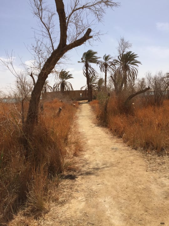 Spaziergang durch die weitläufige Anlage Adrere Amellal Eco Lodge