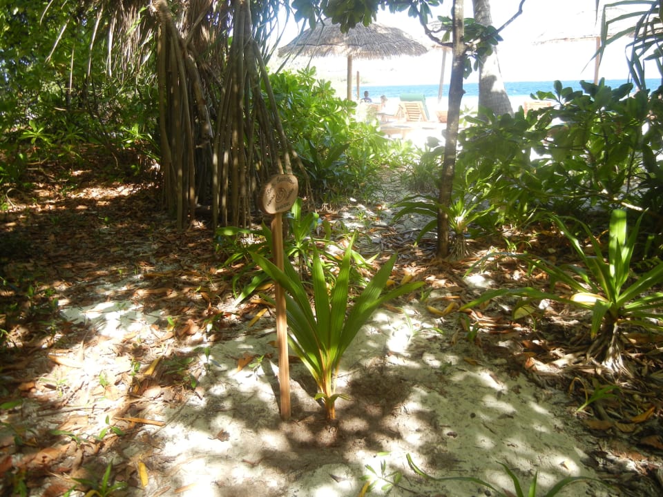 Unsere Palme NH Collection Maldives Reethi Resort