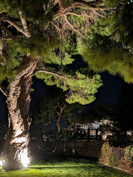 Ausblick Rixos Premium Tekirova