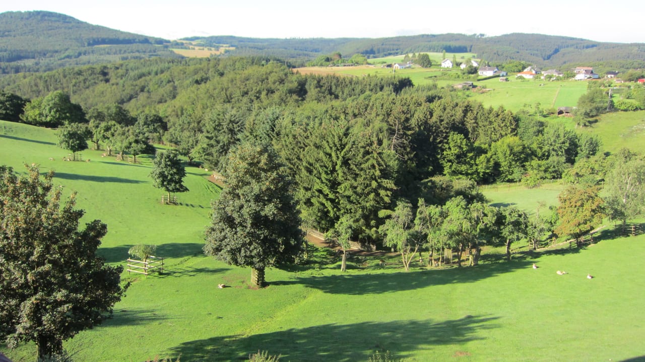 Blick vom Zimmer 208 und 209 in den Wildpark Hotel Kastenholz