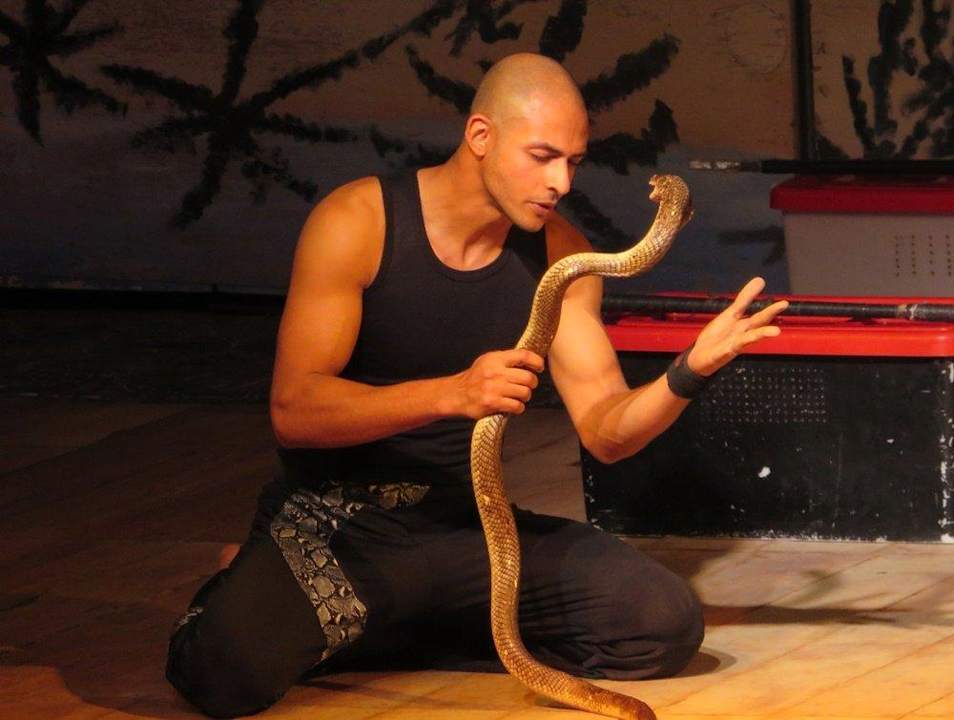 Abendunterhaltung- Cobrashow Pickalbatros Alf Leila Wa Leila Resort - Neverland Hurghada