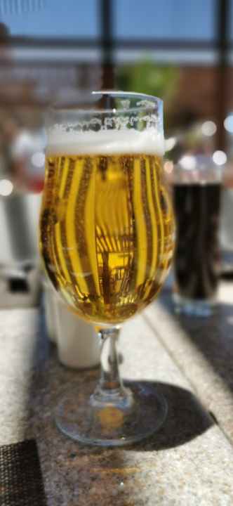 Gastro JAZ Elite Amara