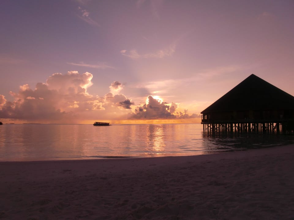 Hotel Meeru Island Resort Meeru Maldives Resort Island