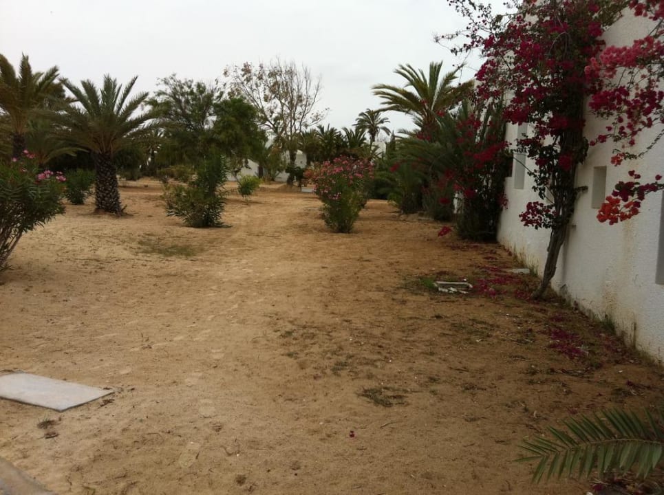 Traumhafte Außenanlage Hotel El Mouradi Djerba Menzel