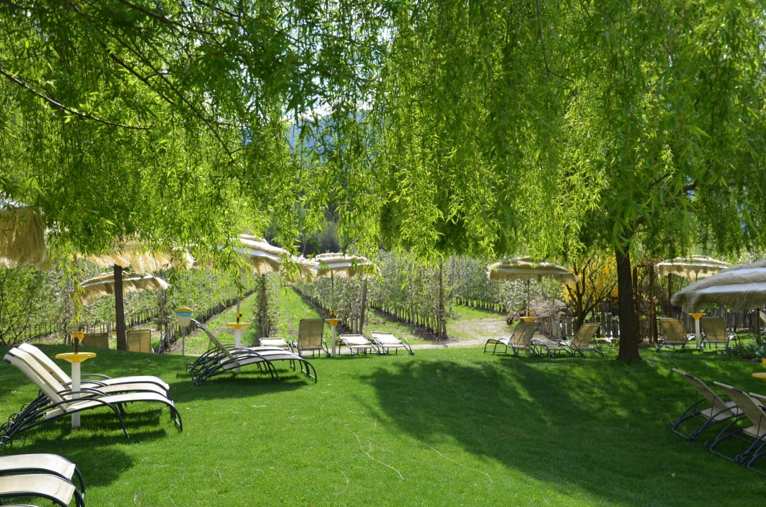 Tolle Gartenanlage Gartenhotel Moser