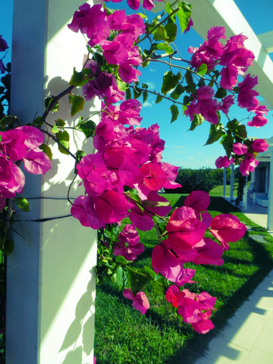 Gartenanlage Grande Baia Resort & Spa