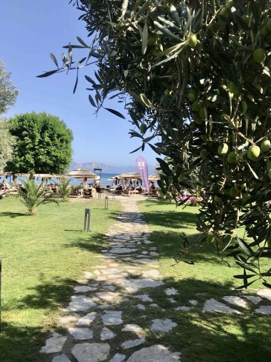 Gartenanlage TUI BLUE Seno - Adults Only