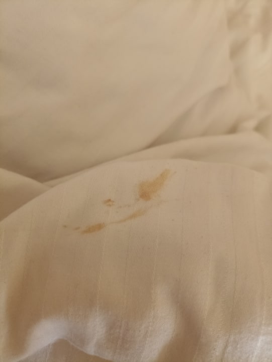 Zimmer Ghazala Gardens