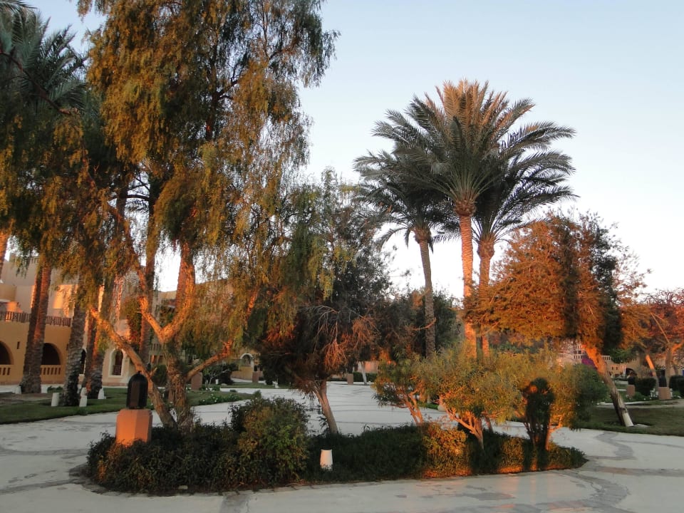 Abendsonne Grand Makadi