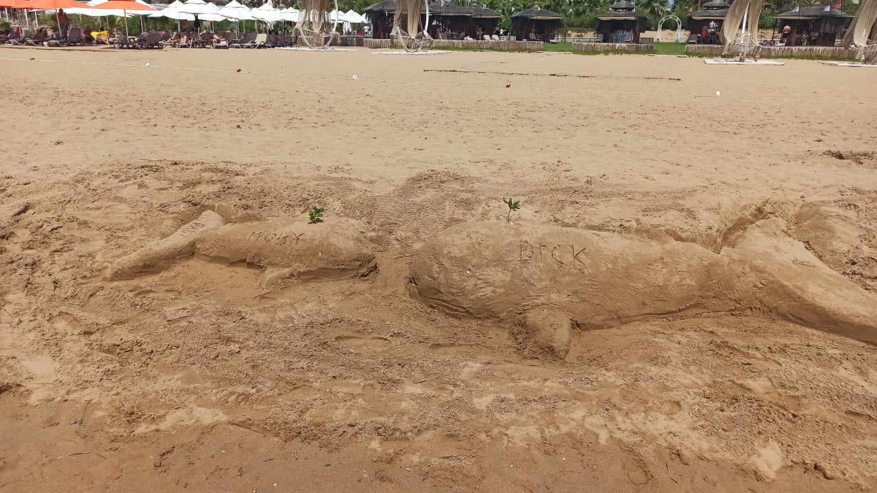 Strand VONRESORT Golden Beach